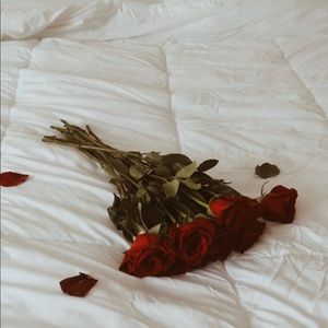 Meet your Posher, Virginia